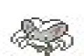 Cinccino (Pokémon)/Generation VIII learnset - Bulbapedia, the community-driven Pokémon encyclopedia
